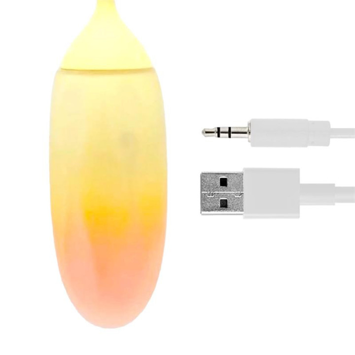 Oeuf avec APP Jaune/Orange