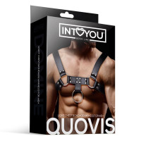 Quovis Harnais Masculin pour Bondage