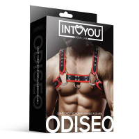 Odysseus Harnais Masculin Pectoral