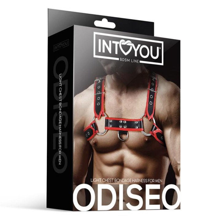 Odysseus Harnais Masculin Pectoral