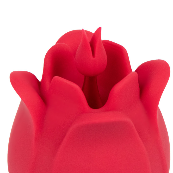 Kaly Haute Intensité