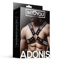 Adonis Harnais Masculin Poitrine