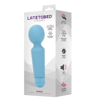 Sander Mini Masseur Wand