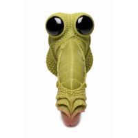 Dildo Ovoposito con 5 Huevos Tentacle