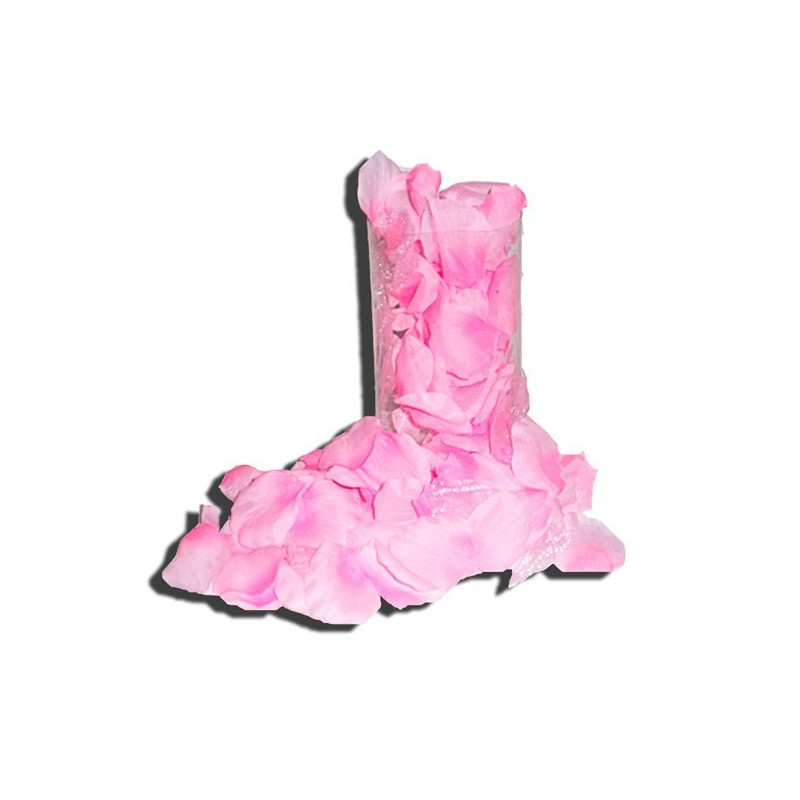 Pétales de roses