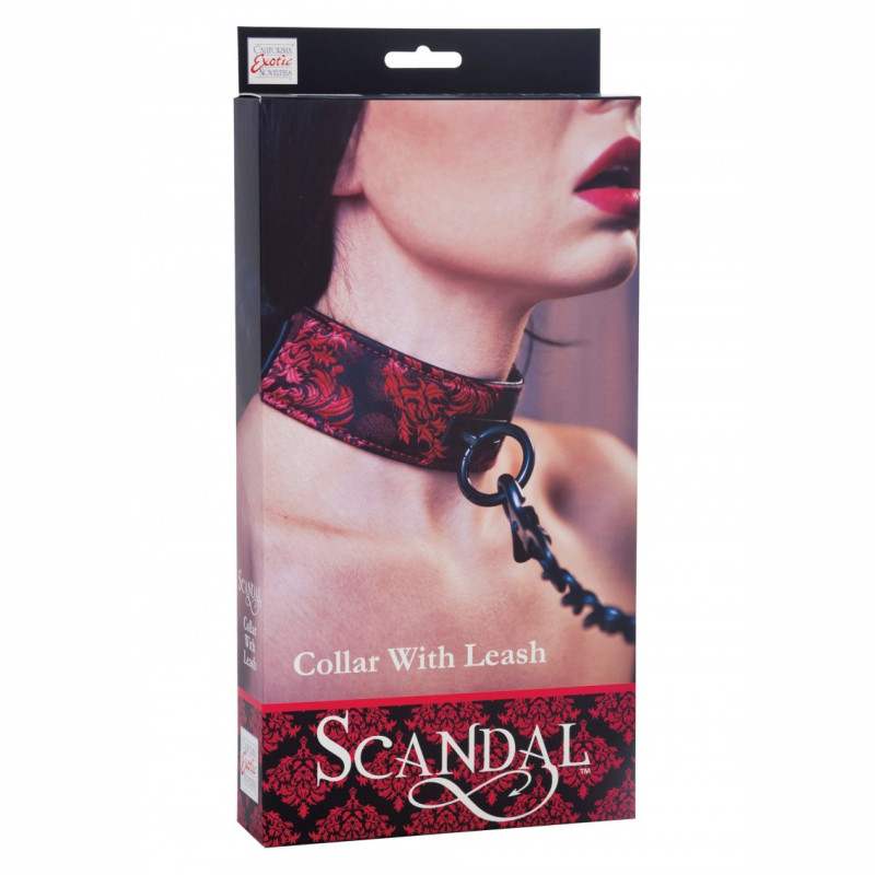 Collar con Correa