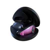 Anal Plug Vibromasseur avec App