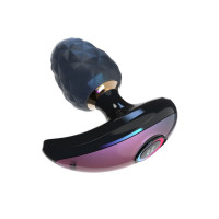 Anal Plug Vibromasseur avec App