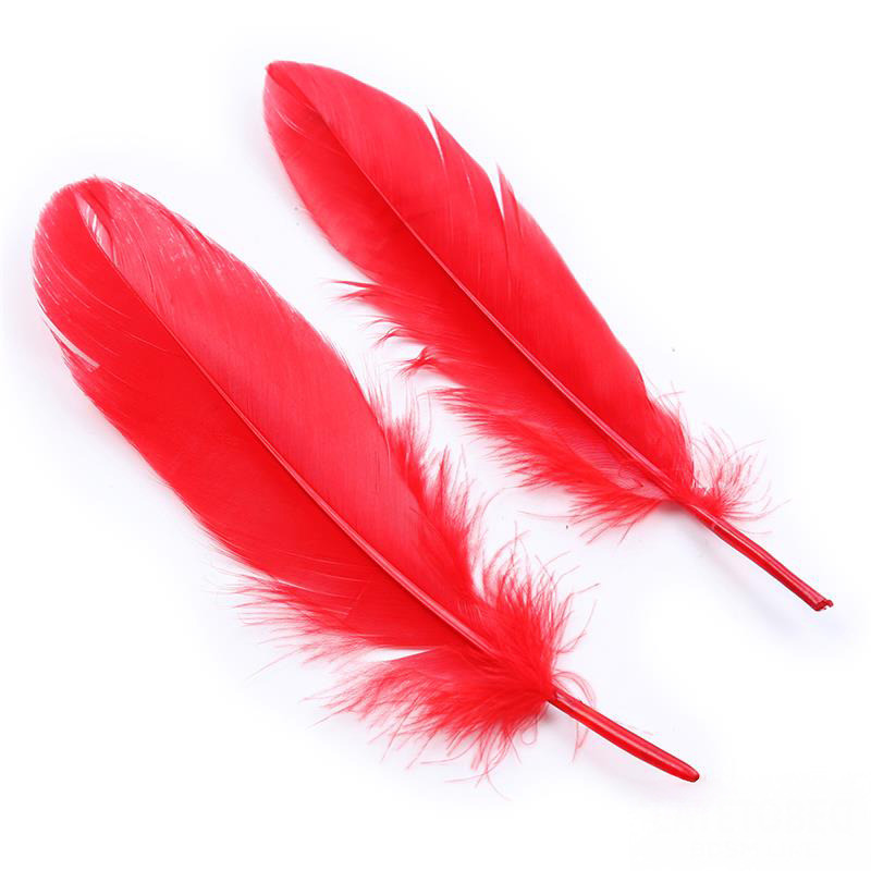 Set de 3 Pièces Masque, Plumes y Menottes