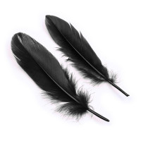 Set de 3 Pièces Masque, Menottes et Plumes Noir