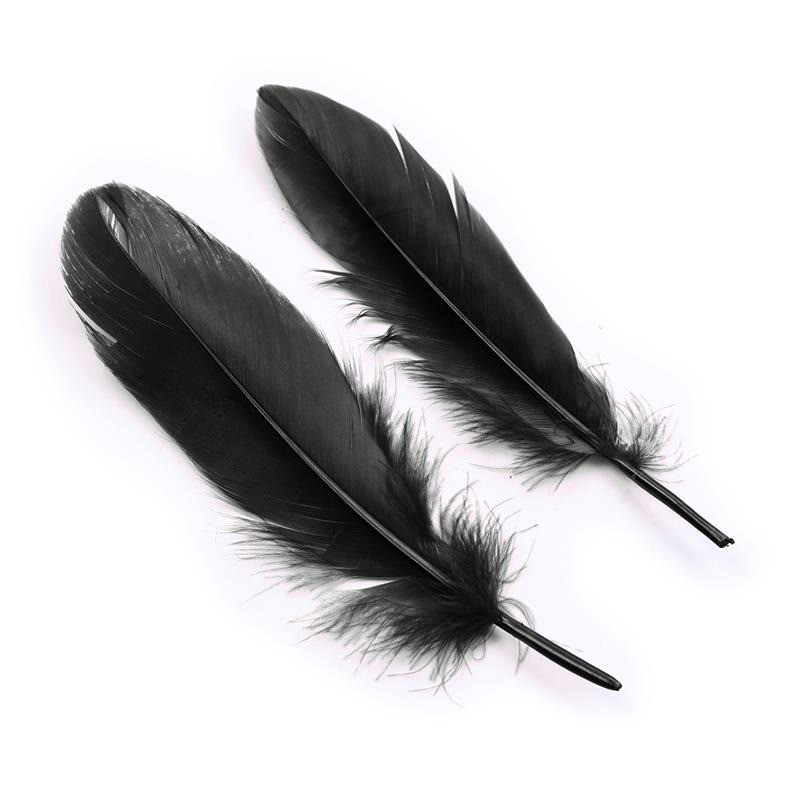 Set de 3 Pièces Masque, Menottes et Plumes Noir