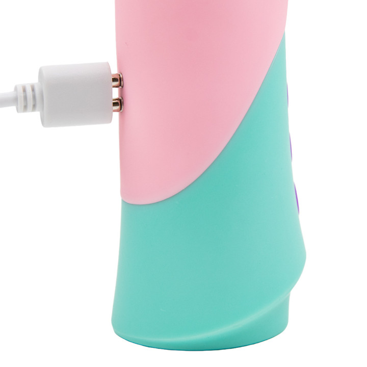 Chargeur Diversual M2