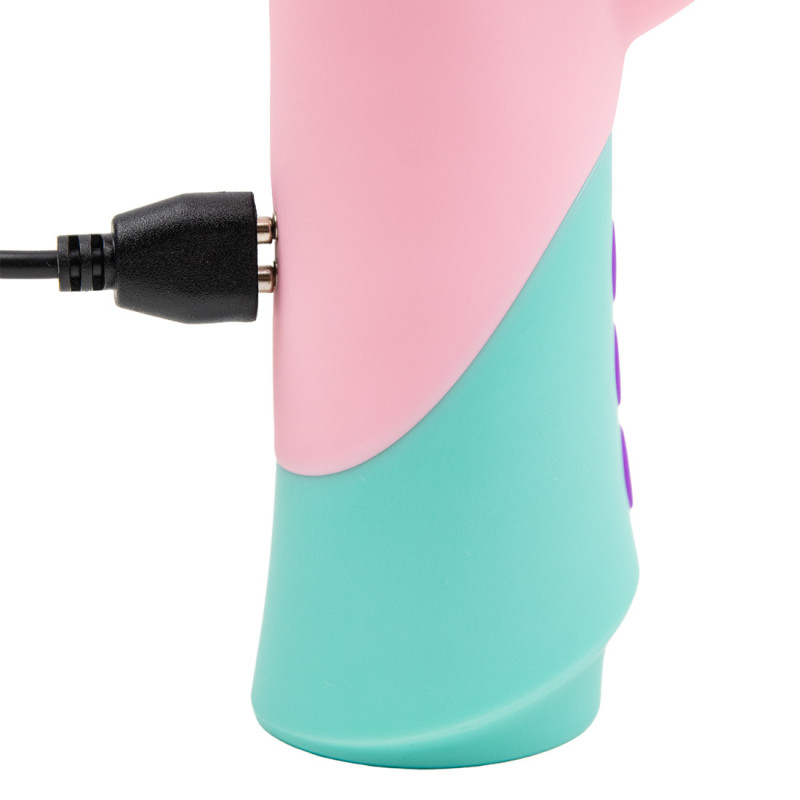 Chargeur Diversual M2