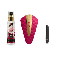 Shunga Calendrier de l'Avent Desires