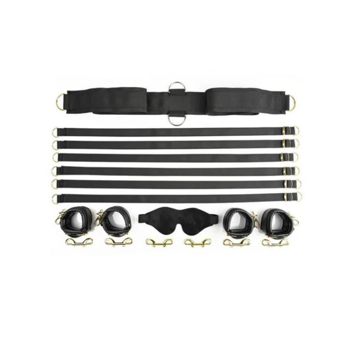 Special Edition Under The Bed Restraint System