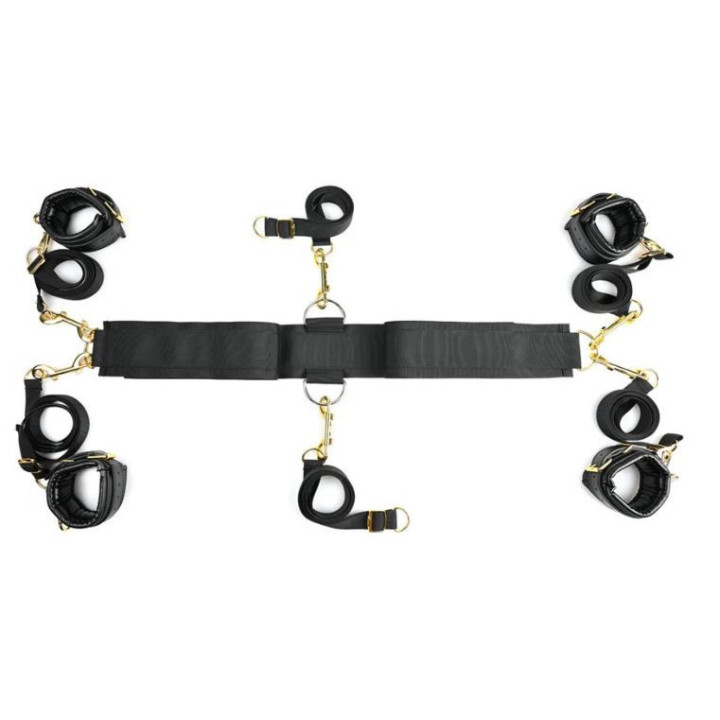 Special Edition Under The Bed Restraint System