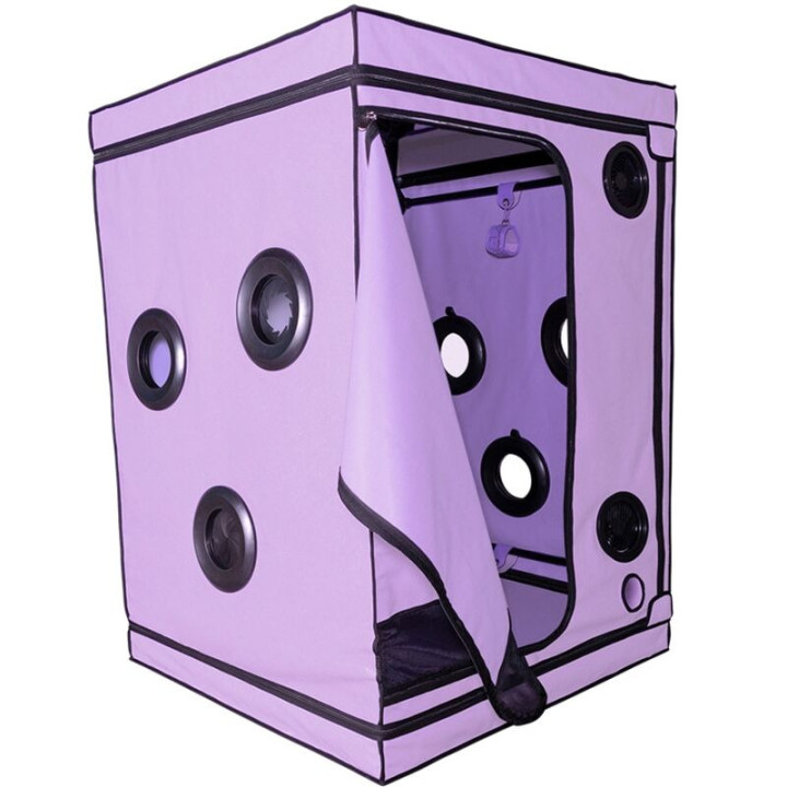 Kink Club Cabina Scandale Morado