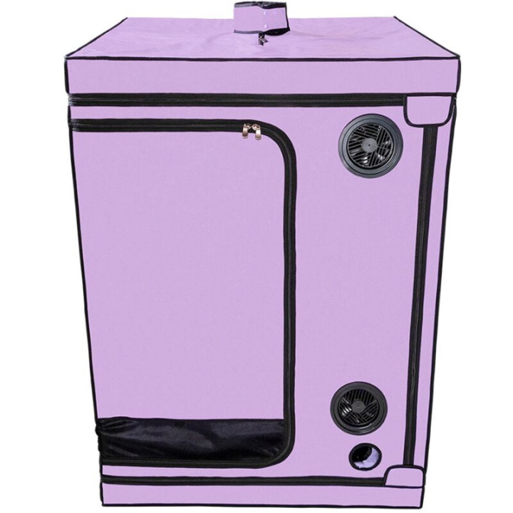Kink Club Cabina Scandale Morado
