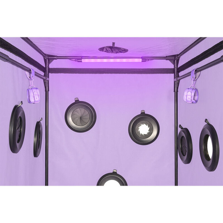 Kink Club Cabina Scandale Morado