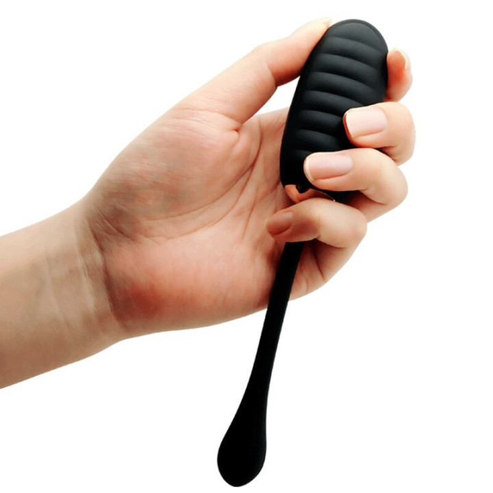 Doreen Huevo Vibrador de Lujo Negro Control Remoto
