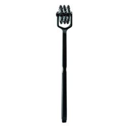 Boundless Rueda de Placer Trio