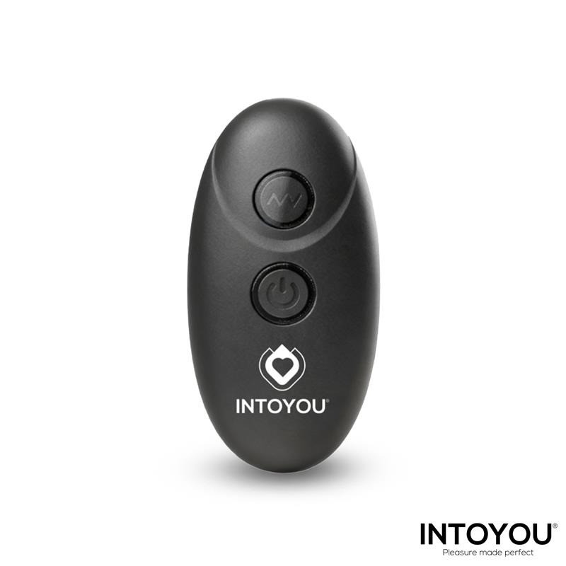 Lovit Vibromasseur de Couple avec Télécommande
