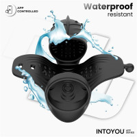Zonte Masturbateur avec Rotation et Vibration par App