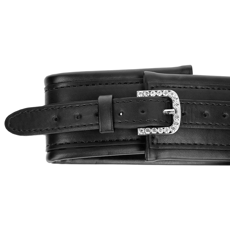 Collar con Correa Hebilla Brillante