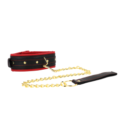 Collar con Correa de Tejido Liso Ajustable
