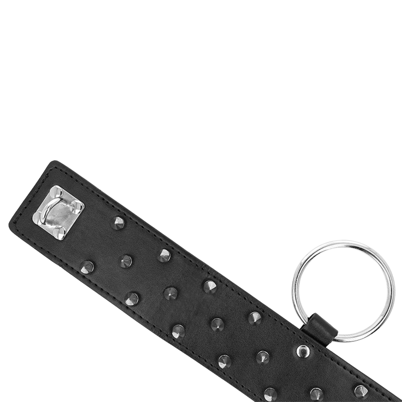Collar con Correa con Tachuelas Plateadas Modelo 5