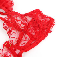Ensemble Soutien-gorge et Porte-jarretelles en Dentelle Rouge