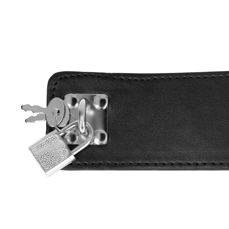 Collier Large avec Laisse Noir