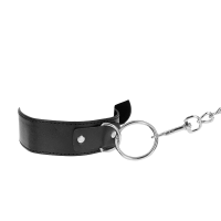Collar con Correa Modelo Básico 4