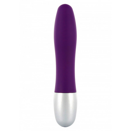 Discretion Mini Lilas