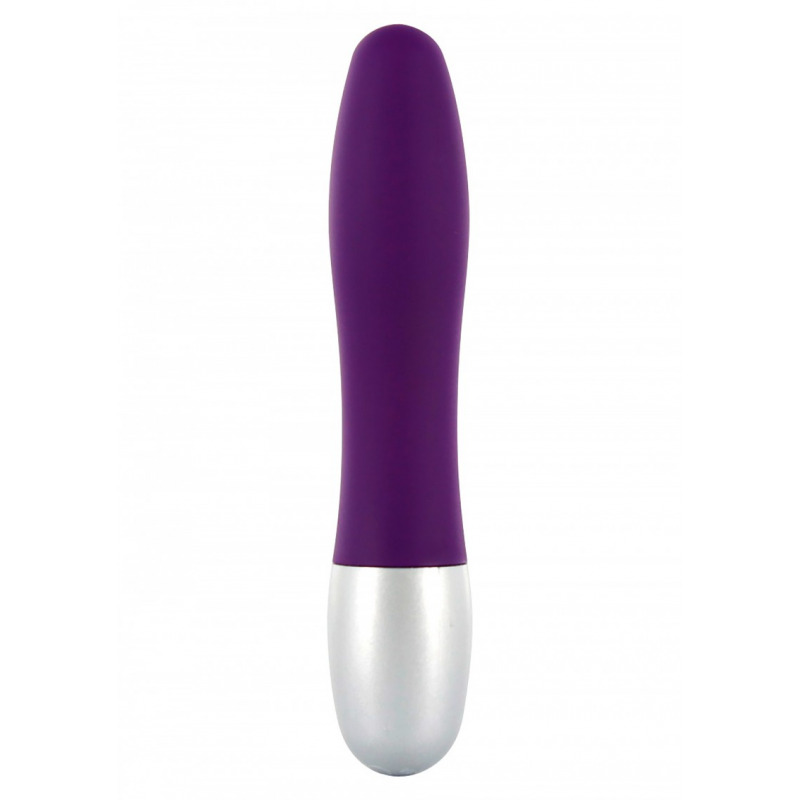 Discretion Mini Lilas