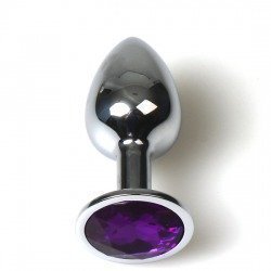 Petit Plug Anal Métal Violet avec Étui