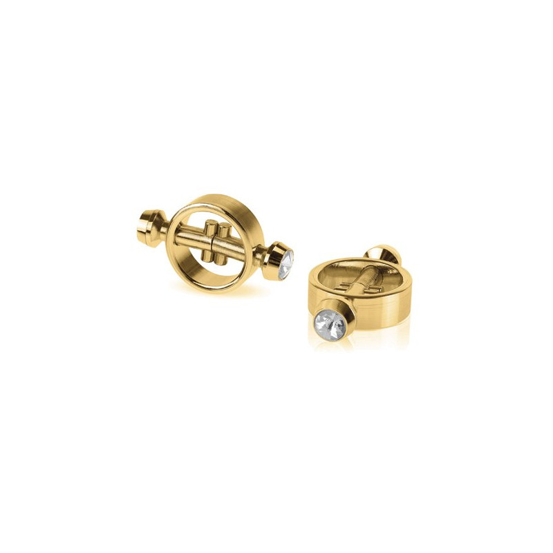 Fetish Fantasy Gold Pinces pour Tétons