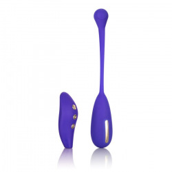 Impulse Remote Kegel Exerciser