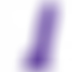 Pénis Réaliste Violet M