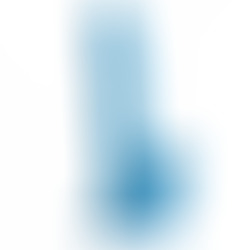 Gode Réaliste avec Testicules 16,5 cm Bleu