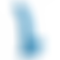 Gode Réaliste avec Testicules 19 cm Bleu