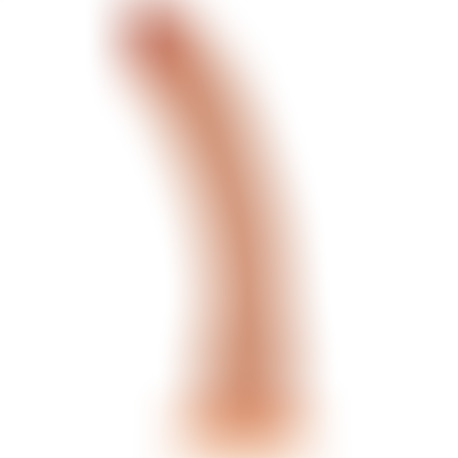 Pene Realístico 21 cm