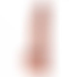 Dual Layer Realistic avec Testicules 23,5 cm R19