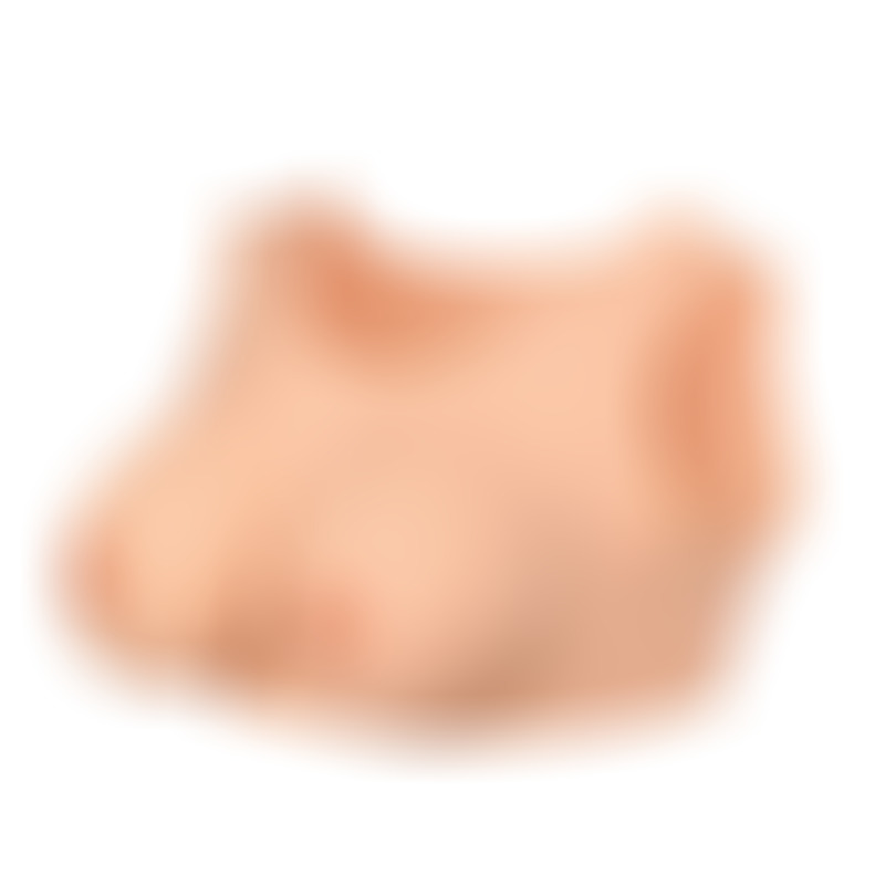 Busto Pecho Claro L