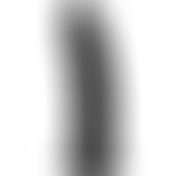 Dildo Modelo 2 Pene Realístico Negro 15 cm