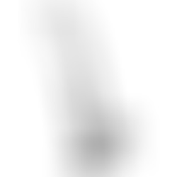 Gode avec Testicules 20,3 cm Transparent