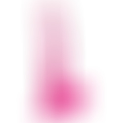 Penis Réaliste avec Testicules 15.2 cm Rose