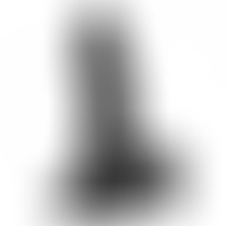 Pene Realístico Negro Mike 13 cm
