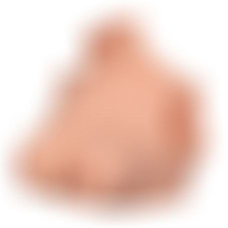 Busto Pecho Cuello Alto Poco Claro