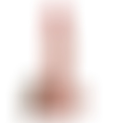 Hudini Dildo Anal Jelly Rosa